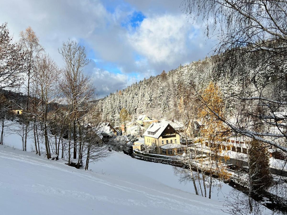 Urige Berghuette Mit Kamin Und Sauna Im Erzgebirge Nahe Schwarzwassertal Pobershau Экстерьер фото